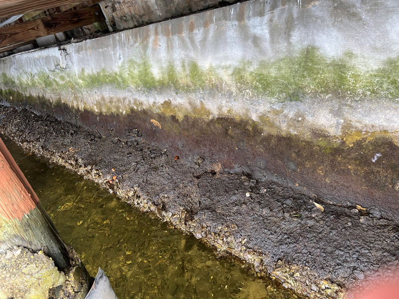 Seawall Maintenance