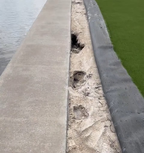 Soil erosion exposed